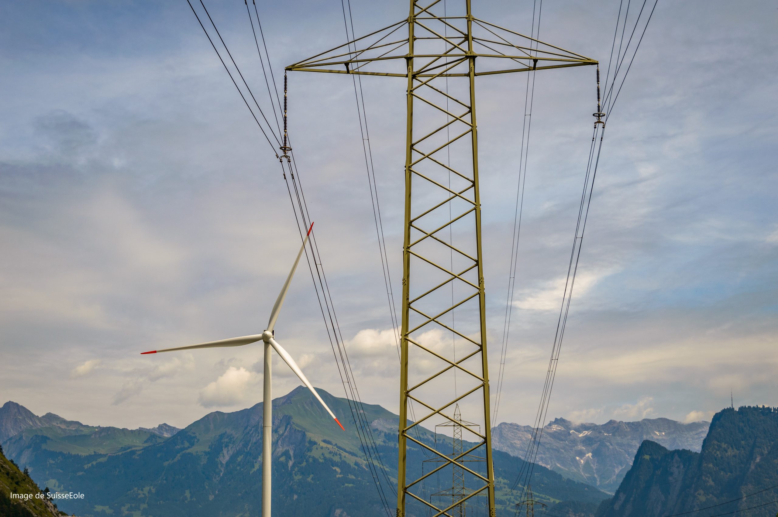 Newsletter – Actualités 2022