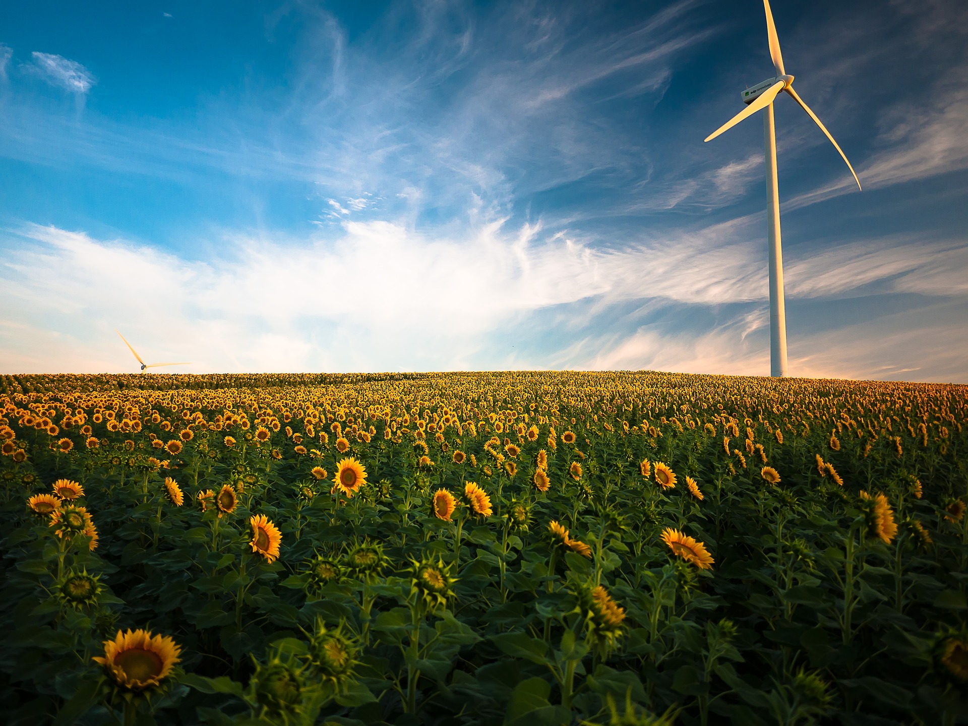 Newsletter – Le printemps est de retour et nous aussi !