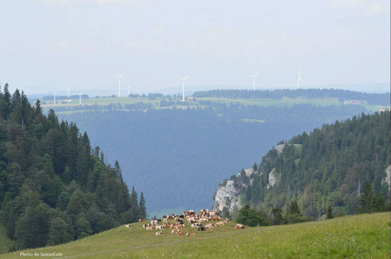 Newsletter – Découvrez les avantages du parc éolien pour les habitants de Bavois