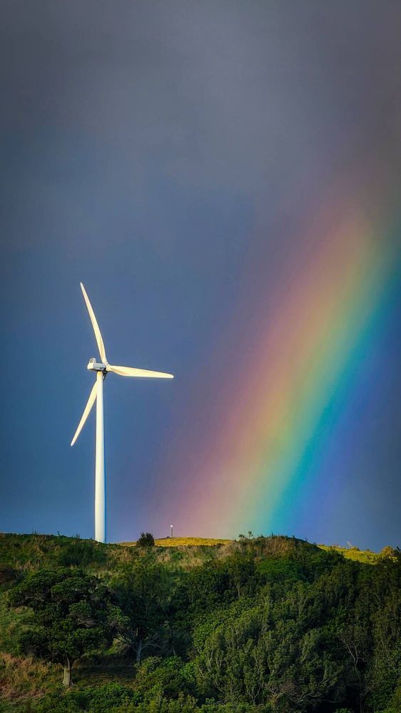 Newsletter – Cap sur les futurs parcs éoliens vaudois